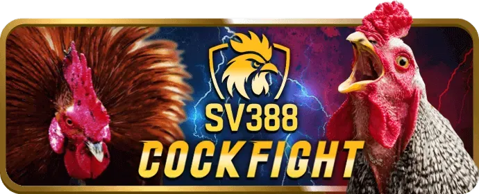 Chương trình VIP VB88 Link Mới